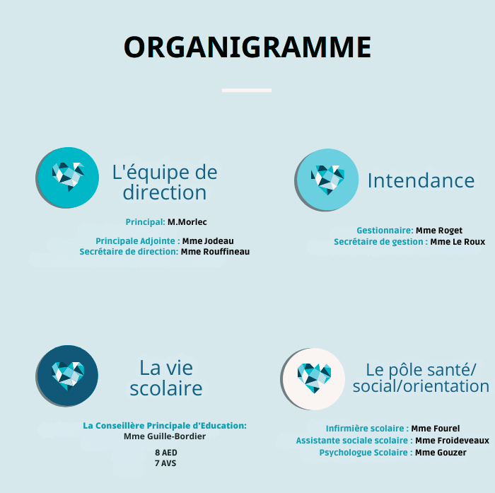 organigramme